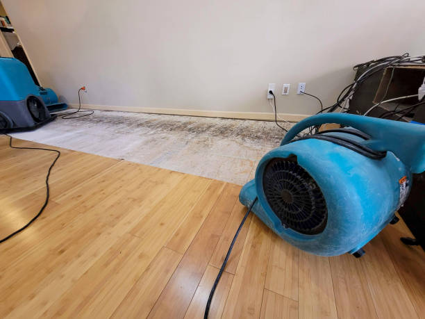 Professional Flood Damage Cleanup technician working in Chesterland, OH